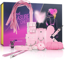 Easytoys Secret Pleasure Chest Pink Bondage kit