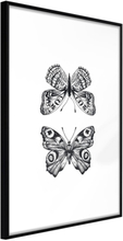 Plakat - Butterfly Collection I - 40 x 60 cm - Sort ramme