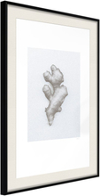 Plakat - Ginger Rhizome - 40 x 60 cm - Sort ramme med passepartout
