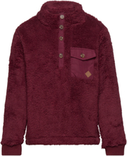 Sten Fleece Jacket Outerwear Fleece Outerwear Fleece Jackets Red Ebbe Kids