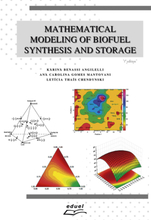 Mathematical modeling of biofuel synthesis and storage