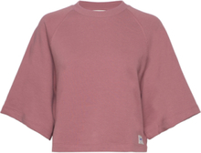 Raglan Sweat Tops T-shirts & Tops Short-sleeved Pink Lee Jeans