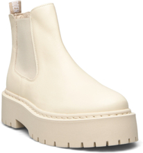 Veerly Bootie Shoes Chelsea Boots Cream Steve Madden