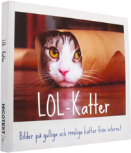 LOL-katter : bilder på gulliga och rrroliga katter från internet