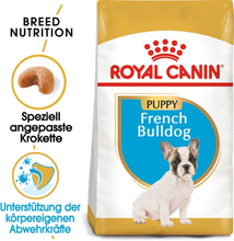 Royal Canin French Bulldog Puppy - 10 kg