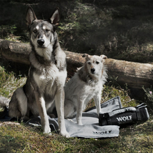 Wolf of Wilderness Reise-Hundematte - L 100 x B 70 cm