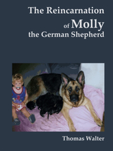 The reincarnation of Molly, the German Shepherd