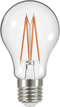 AIRAM Airam LED Växtlampe 5W E27 Filament