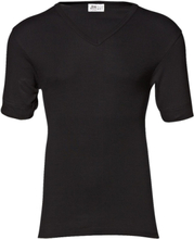 Original V-Neck Tee Tops T-shirts Short-sleeved Black JBS