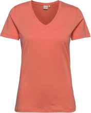 Naia Tshirt T-shirts & Tops Short-sleeved Rød Cream*Betinget Tilbud