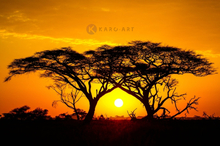 Schilderij - Zonsondergang in Afrika , 2 maten , Oranje zwart , Wanddecoratie