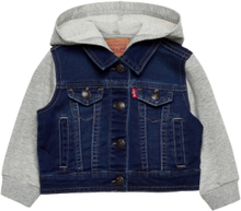 Levi's® Hooded Trucker Jacket Outerwear Jackets & Coats Denim & Corduroy Blue Levi's