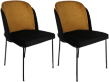 Set med stolar (2 st.) - Dore