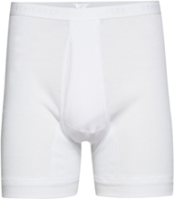 Shorts Boxershorts White Schiesser