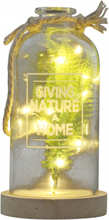 Peha stolp Giving Nature A Home led 13 x 25 cm glas naturel