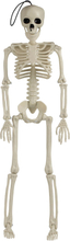 Hängande Skelett i Plast