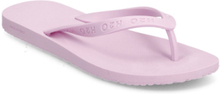 Flip Flop Shoes Summer Shoes Sandals Flip Flops Pink H2O