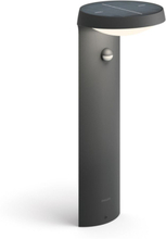 Pollare Tyla Solcell IR-sensor Philips