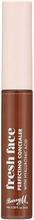 Barry M Fresh Face Perfecting Concealer 7 ml
