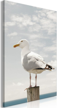 Billede - Seagull Lodret - 60 x 90 cm