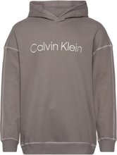 "L/S Hoodie Tops Sweatshirts & Hoodies Hoodies Grey Calvin Klein"