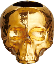 Kosta Boda - Still Life skull lyslykt 8,5 cm gull