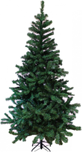 Albero di Natale ALASKA 210 cm Abete Ecologico con 742 rami e base in metallo