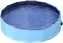 Piscina in plastica bordo stabile per cani animali domestici blu, 120x30cm