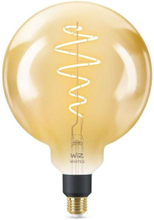 WiZ - Leuchtmittel Smart TW Amb. 6W 390lm 2000-5000K Globe Giant Gold E27 WiZ