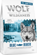Zum Sonderpreis! Wolf of Wilderness Trockenfutter 2 x 1 kg - Adult Blue River - Freilandhuhn & Lachs