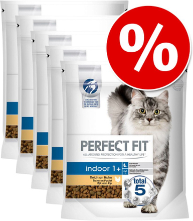 Sparpaket Perfect Fit 5 x 1,4 kg - Adult 1+ Reich an Huhn