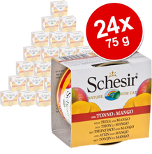 Sparpaket Schesir Fruit 24 x 75 g - Mix (3 Sorten)
