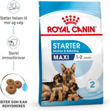 Royal Canin Maxi Starter (15 kg)