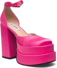 Charlize Sandal Shoes Heels Pumps Classic Pink Steve Madden