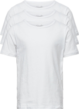 Claudio Boys 3-Pack T-Shirt Tops T-Kortærmet Skjorte White Claudio