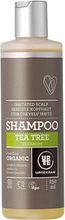 Urtekram Tea Tree Shampoo - 250 ml