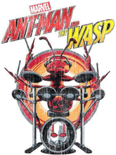 Marvel Drummer Ant Sweatshirt - White - S