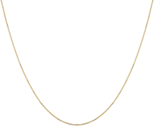 Beloved Medium Box Chain Gold Accessories Jewellery Necklaces Chain Necklaces Gold Syster P