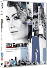 Grey's Anatomy Staffel 14