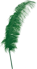 12 Stk. Gigantiske Grønne Strutsefjær - 50 cm
