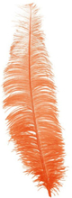 12 Stk. Store Orange Strutsefjær - 40 cm