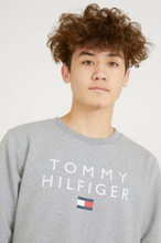 Tommy Hilfiger Collegegenser TH Logo Grå
