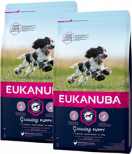 Eukanuba Dog Puppy Medium 2 x 15kg