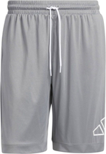 adidas Big logo Shorts nachhaltige Herren Basketball-Shorts HK7094 Grau