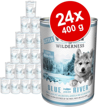 Sparpaket: Little Wolf of Wilderness Junior 24 x 400 g - Blue River - Huhn & Lachs