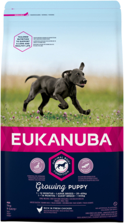 Eukanuba Growing Puppy Large Breed Kip - Hondenvoer - 3 kg