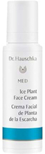 MED Ice Plant Face Cream, 40ml