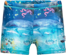 Norton Swimwear UV Clothing UV Bottoms Blå Molo*Betinget Tilbud