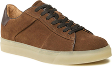 Sneakers Gino Rossi 121AM1318  Brown