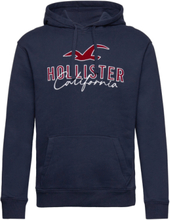 "Hco. Guys Sweatshirts Tops Sweatshirts & Hoodies Hoodies Navy Hollister"